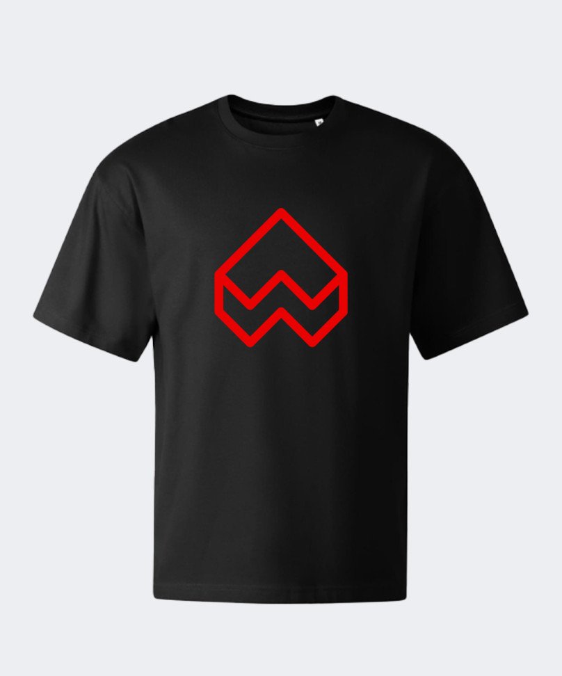 t-shirt-oversize-brick-big