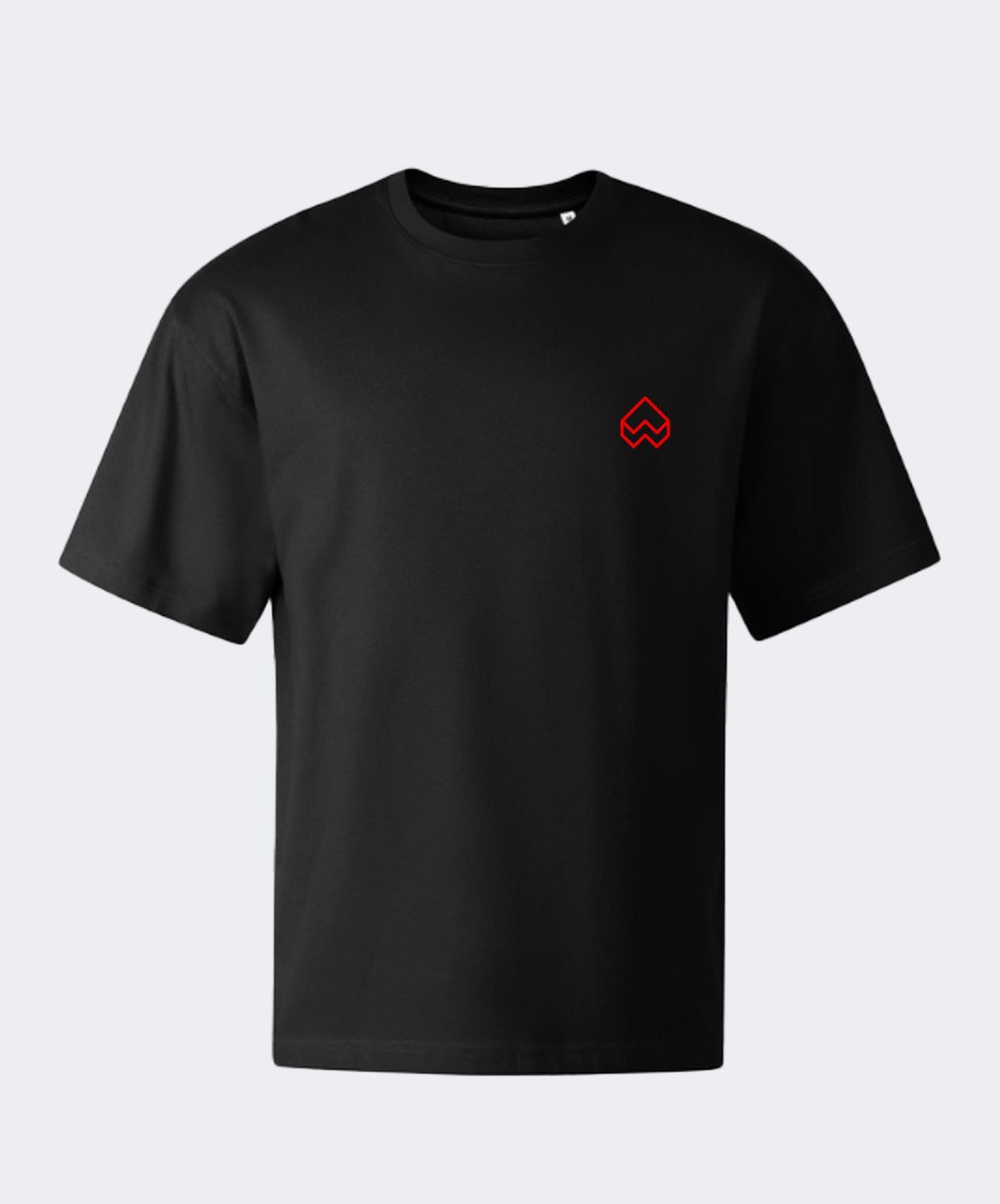t-shirt-oversize-brick-small