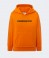 hoodie_kids